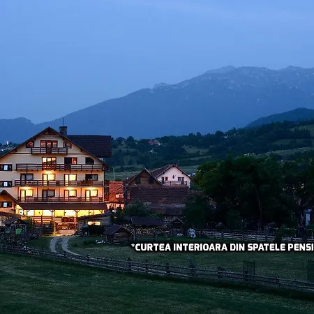 Hora Cu Brazi Zărneşti